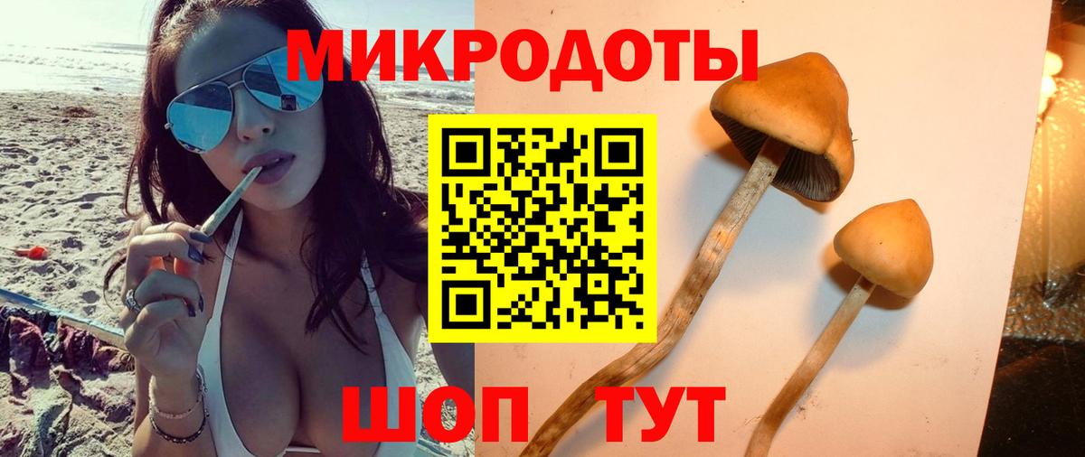 Псилоцибиновые грибы ЛСД  Вход с VPN  Вятские Поляны  Псилоцибиновые грибы GOLDEN TEACHER 